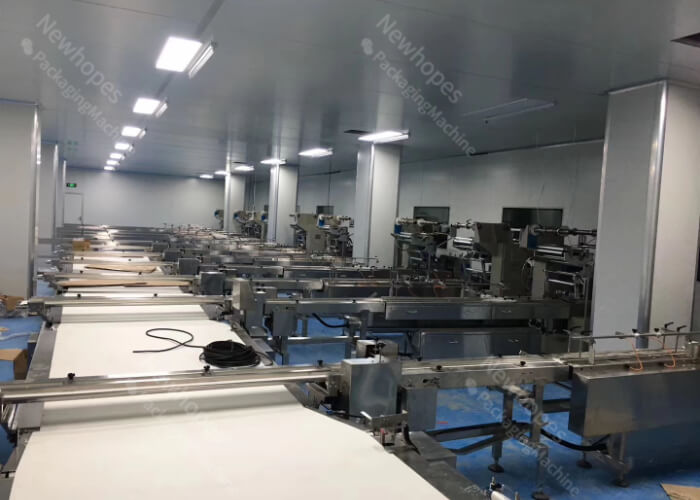 newhopes packaging machine project (2)